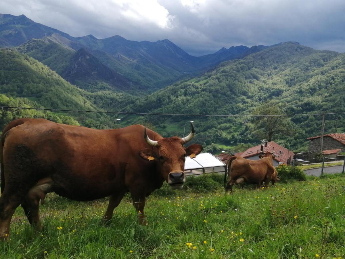 Posada Real Pajares Kültér fotó